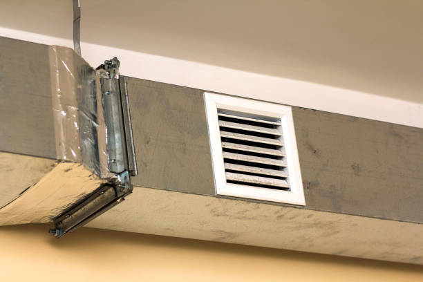 Best Air Duct Sanitizing Services  in Maroa, IL